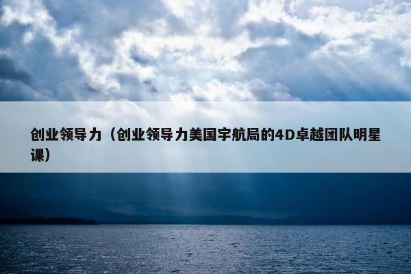 创业领导力（创业领导力美国宇航局的4D卓越团队明星课）