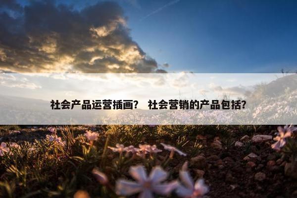 社会产品运营插画？ 社会营销的产品包括？