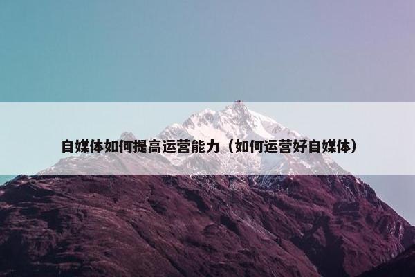 自媒体如何提高运营能力（如何运营好自媒体）