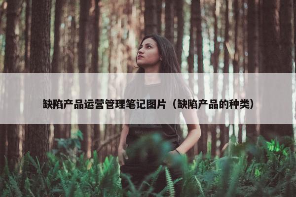 缺陷产品运营管理笔记图片（缺陷产品的种类）