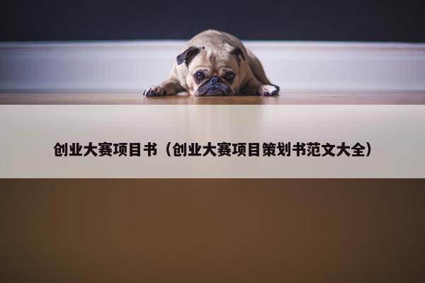 创业大赛项目书（创业大赛项目策划书范文大全）