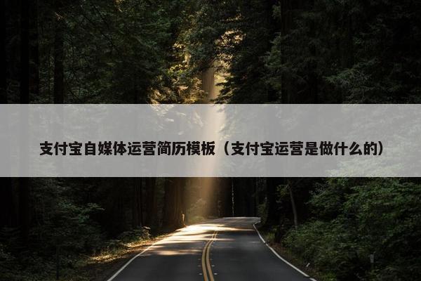 支付宝自媒体运营简历模板（支付宝运营是做什么的）