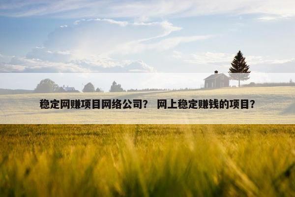 稳定网赚项目网络公司？ 网上稳定赚钱的项目？