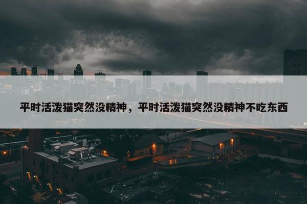平时活泼猫突然没精神，平时活泼猫突然没精神不吃东西