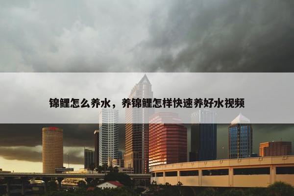 锦鲤怎么养水，养锦鲤怎样快速养好水视频