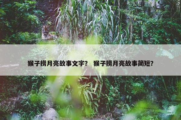 猴子捞月亮故事文字？ 猴子捞月亮故事简短？