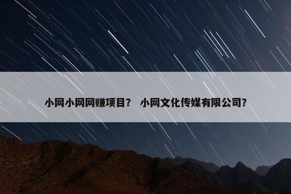 小网小网网赚项目？ 小网文化传媒有限公司？