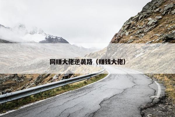 网赚大佬逆袭路（赚钱大佬）