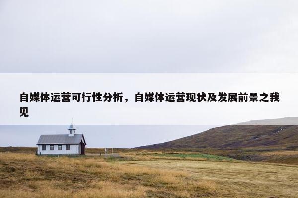 自媒体运营可行性分析，自媒体运营现状及发展前景之我见