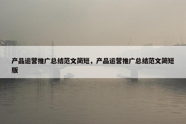 产品运营推广总结范文简短，产品运营推广总结范文简短版