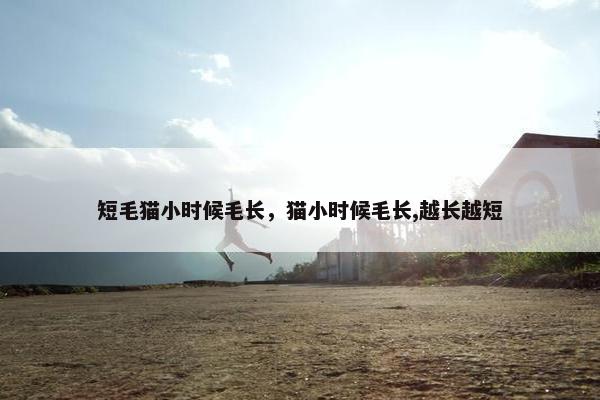 短毛猫小时候毛长，猫小时候毛长,越长越短