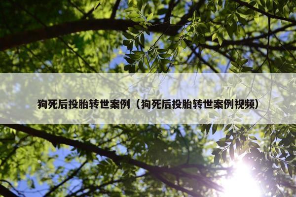 狗死后投胎转世案例（狗死后投胎转世案例视频）