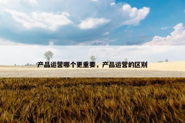 产品运营哪个更重要，产品运营的区别