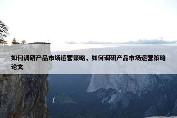 如何调研产品市场运营策略，如何调研产品市场运营策略论文