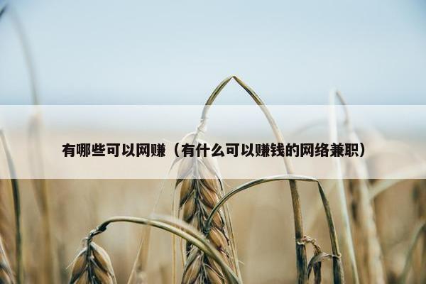 有哪些可以网赚（有什么可以赚钱的网络兼职）