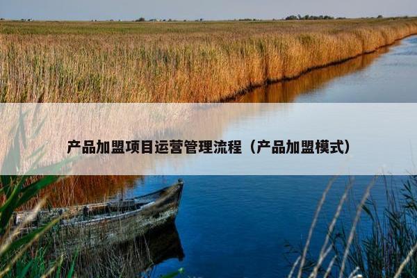 产品加盟项目运营管理流程（产品加盟模式）