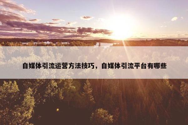 自媒体引流运营方法技巧，自媒体引流平台有哪些