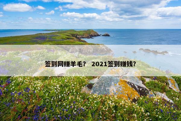 签到网赚羊毛？ 2021签到赚钱？