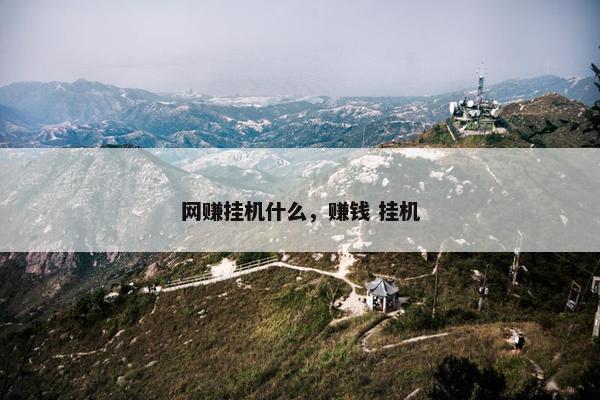 网赚挂机什么，赚钱 挂机