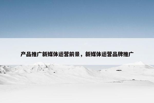 产品推广新媒体运营前景，新媒体运营品牌推广