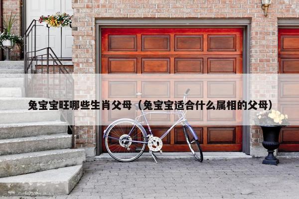 兔宝宝旺哪些生肖父母（兔宝宝适合什么属相的父母）