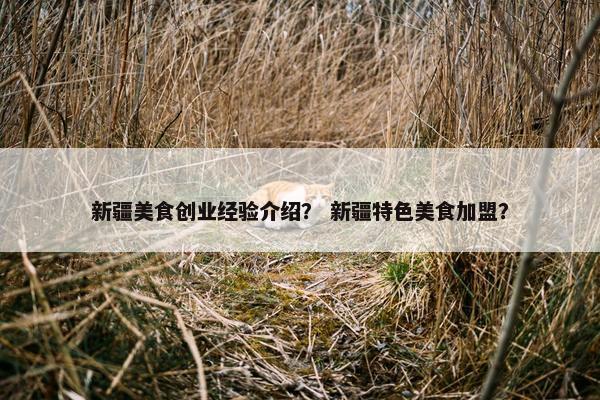 新疆美食创业经验介绍？ 新疆特色美食加盟？