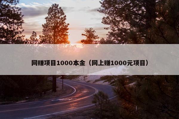 网赚项目1000本金（网上赚1000元项目）