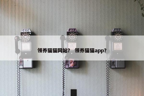 领养猫猫网站？ 领养猫猫app？
