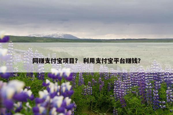 网赚支付宝项目？ 利用支付宝平台赚钱？