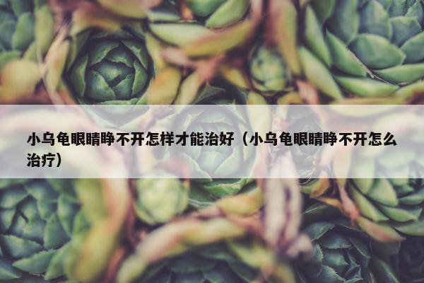 小乌龟眼睛睁不开怎样才能治好（小乌龟眼睛睁不开怎么治疗）
