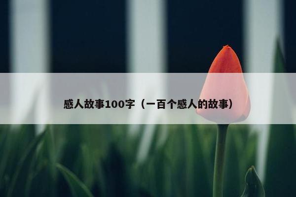 感人故事100字（一百个感人的故事）