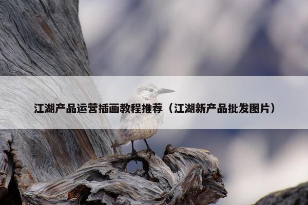 江湖产品运营插画教程推荐（江湖新产品批发图片）