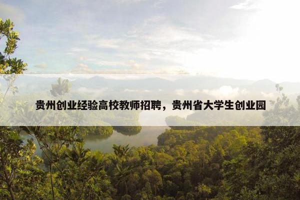 贵州创业经验高校教师招聘，贵州省大学生创业园