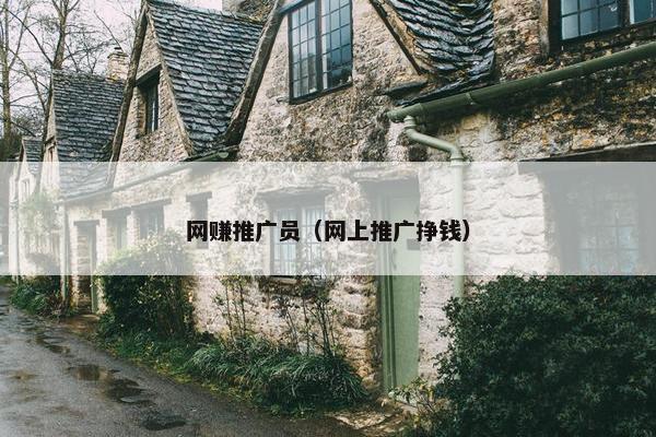 网赚推广员（网上推广挣钱）