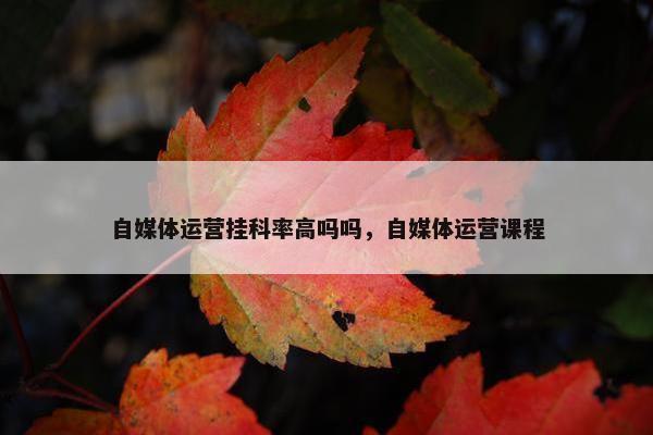 自媒体运营挂科率高吗吗，自媒体运营课程