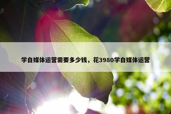 学自媒体运营需要多少钱，花3980学自媒体运营