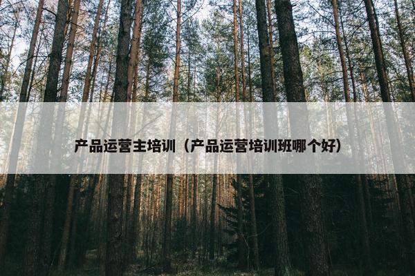 产品运营主培训（产品运营培训班哪个好）