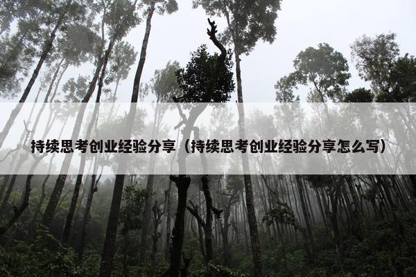 持续思考创业经验分享（持续思考创业经验分享怎么写）
