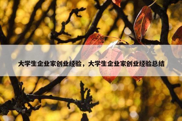 大学生企业家创业经验，大学生企业家创业经验总结