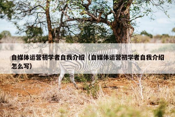 自媒体运营初学者自我介绍（自媒体运营初学者自我介绍怎么写）