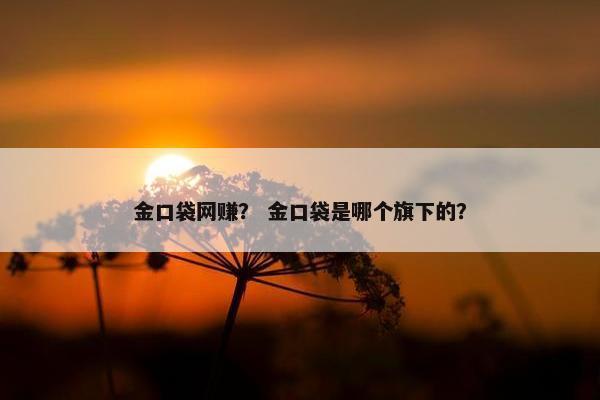 金口袋网赚？ 金口袋是哪个旗下的？