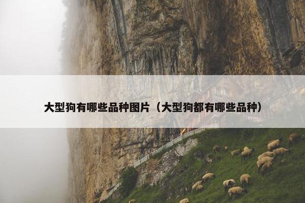 大型狗有哪些品种图片（大型狗都有哪些品种）