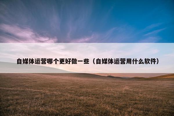自媒体运营哪个更好做一些（自媒体运营用什么软件）