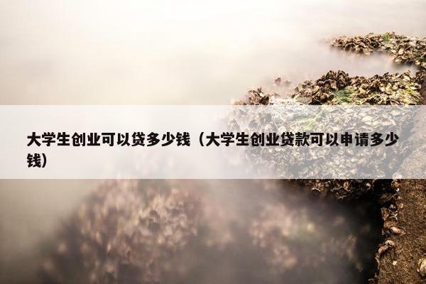 大学生创业可以贷多少钱（大学生创业贷款可以申请多少钱）