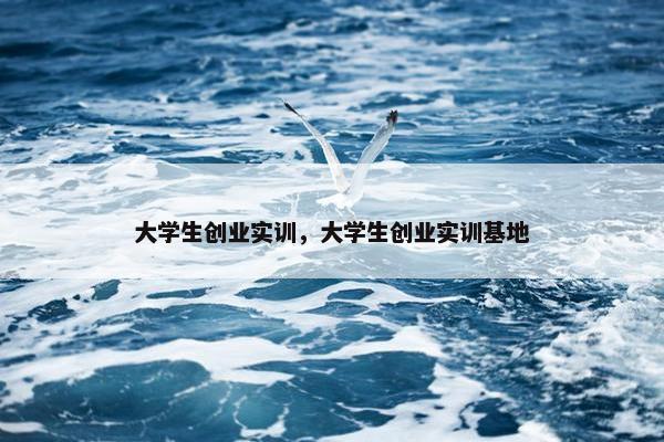 大学生创业实训，大学生创业实训基地