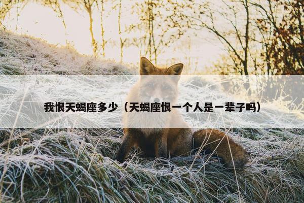 我恨天蝎座多少（天蝎座恨一个人是一辈子吗）