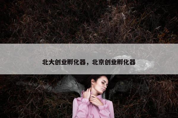 北大创业孵化器，北京创业孵化器