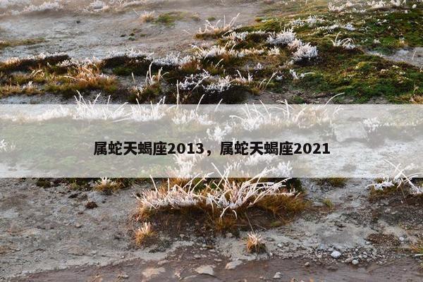 属蛇天蝎座2013，属蛇天蝎座2021