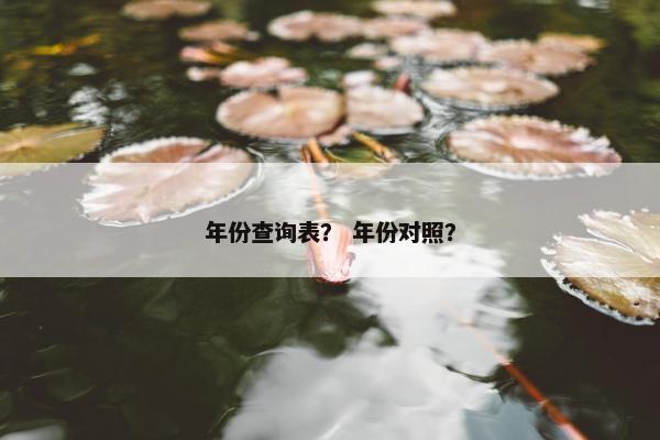 年份查询表？ 年份对照？