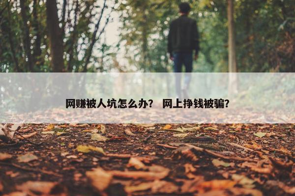 网赚被人坑怎么办？ 网上挣钱被骗？